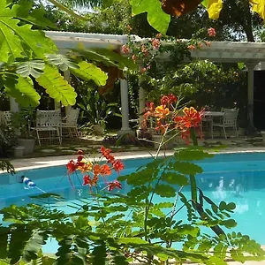 Orchard Garden Nassau